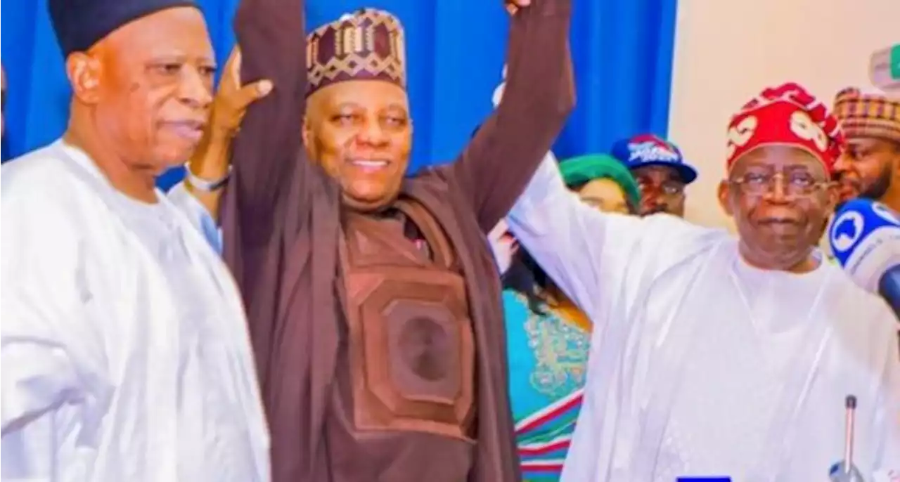 Spoken word: Understanding the nomination of VP candidate under Nigerian laws | TheCable