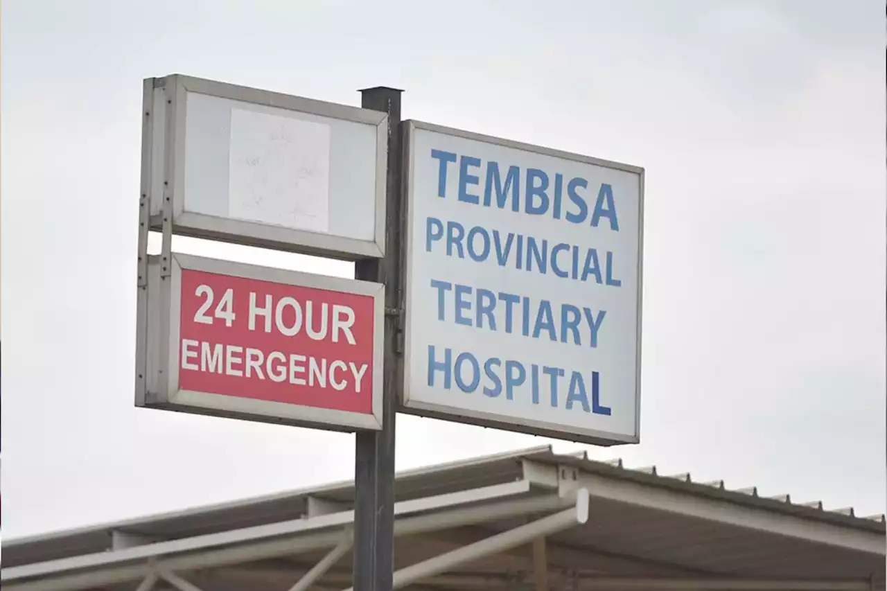 Hawks raid Ekurhuleni ANC bigshot's home over Tembisa hospital tender graft | The Citizen