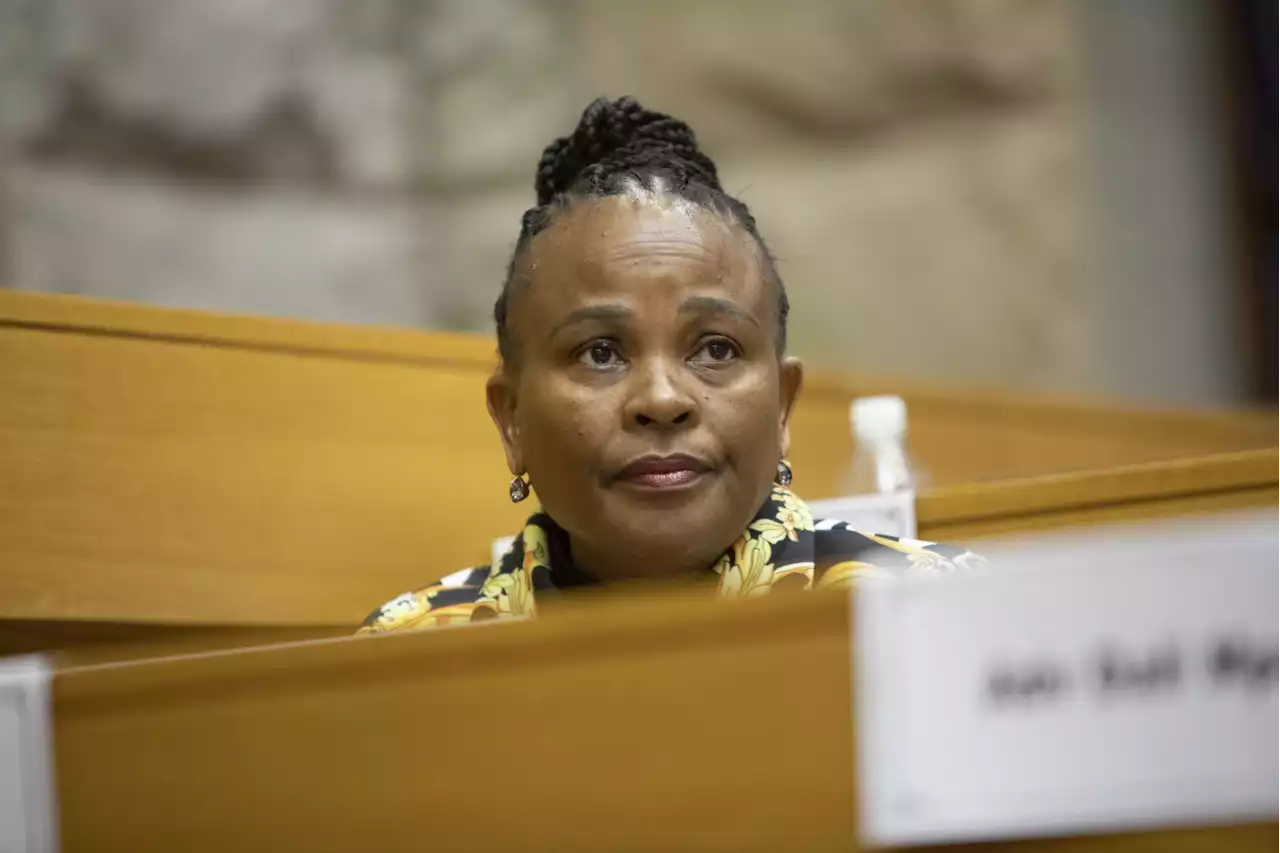 'Just an estimation': Mkhwebane says Ramaphosa's CR17 campaign raised R1.2 billion | The Citizen