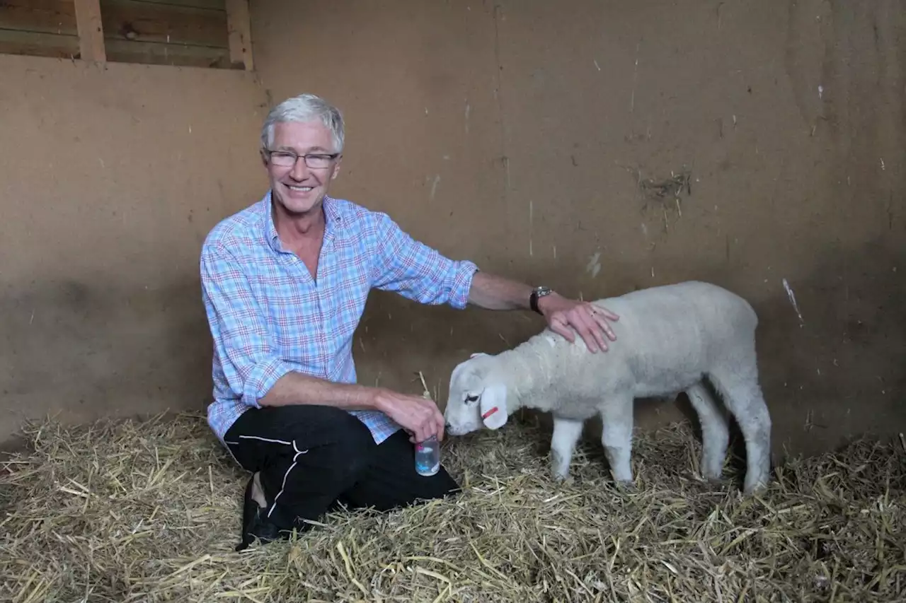 RIP Paul O'Grady, the left-wing drag queen who fought for the underdog