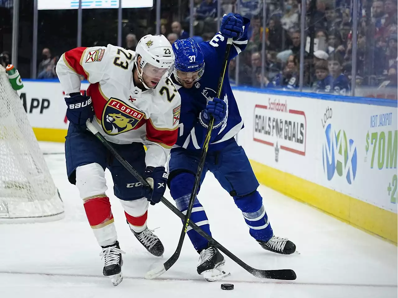 Panthers vs Maple Leafs Odds, Picks, and Predictions Tonight: Verhaeghe Leads Desperate Florida Attack