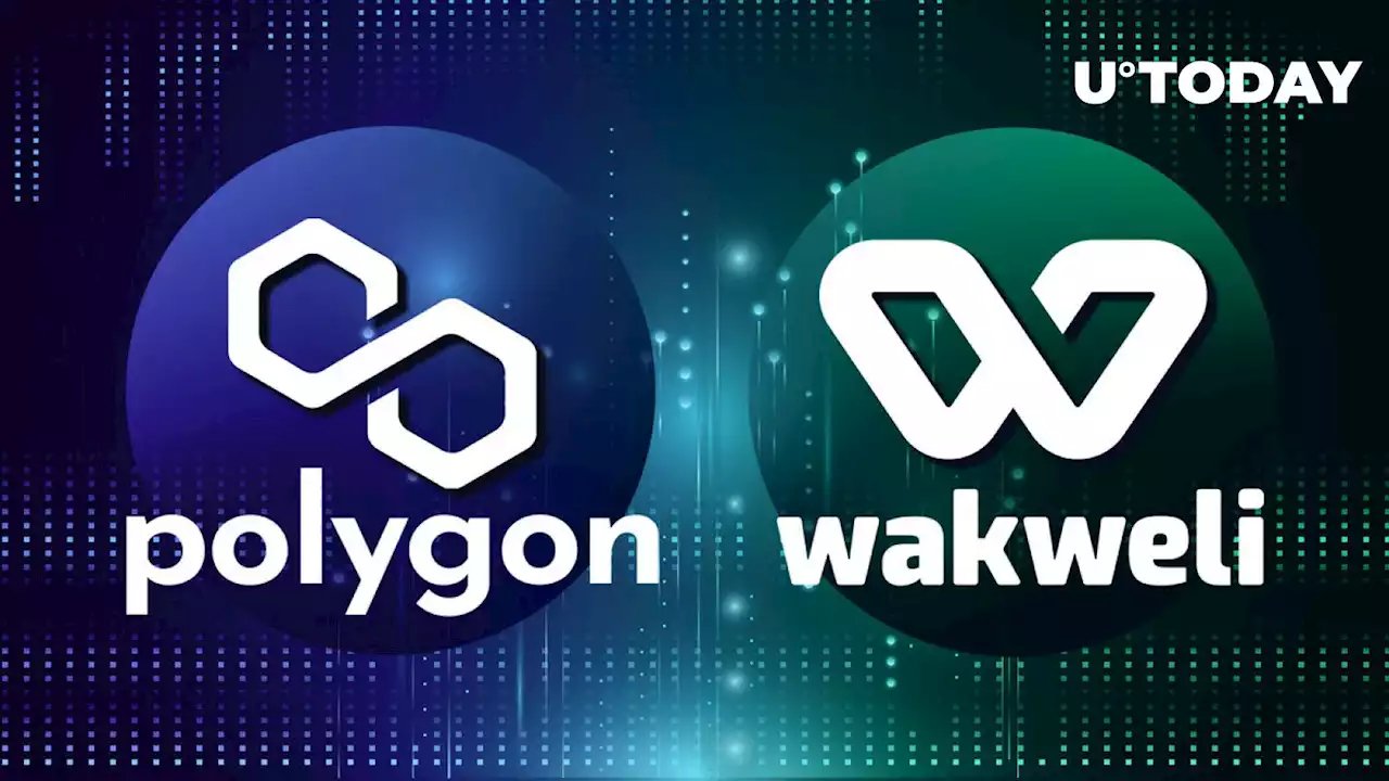 Wakweli and Polygon Join Forces: Revolutionizing NFT Authenticity Through Web3 Infrastructure