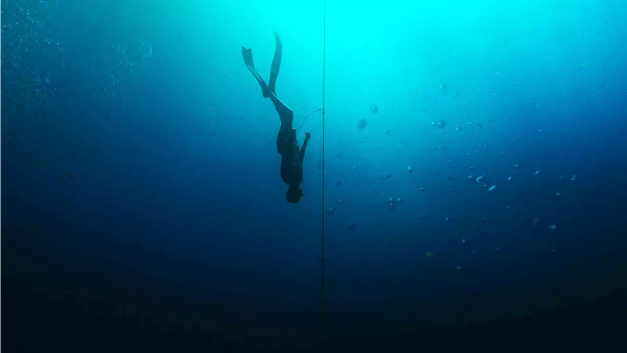 Netflix Sued Over ‘No Limit’ Film That Suggests Free Diver Killed His Wife