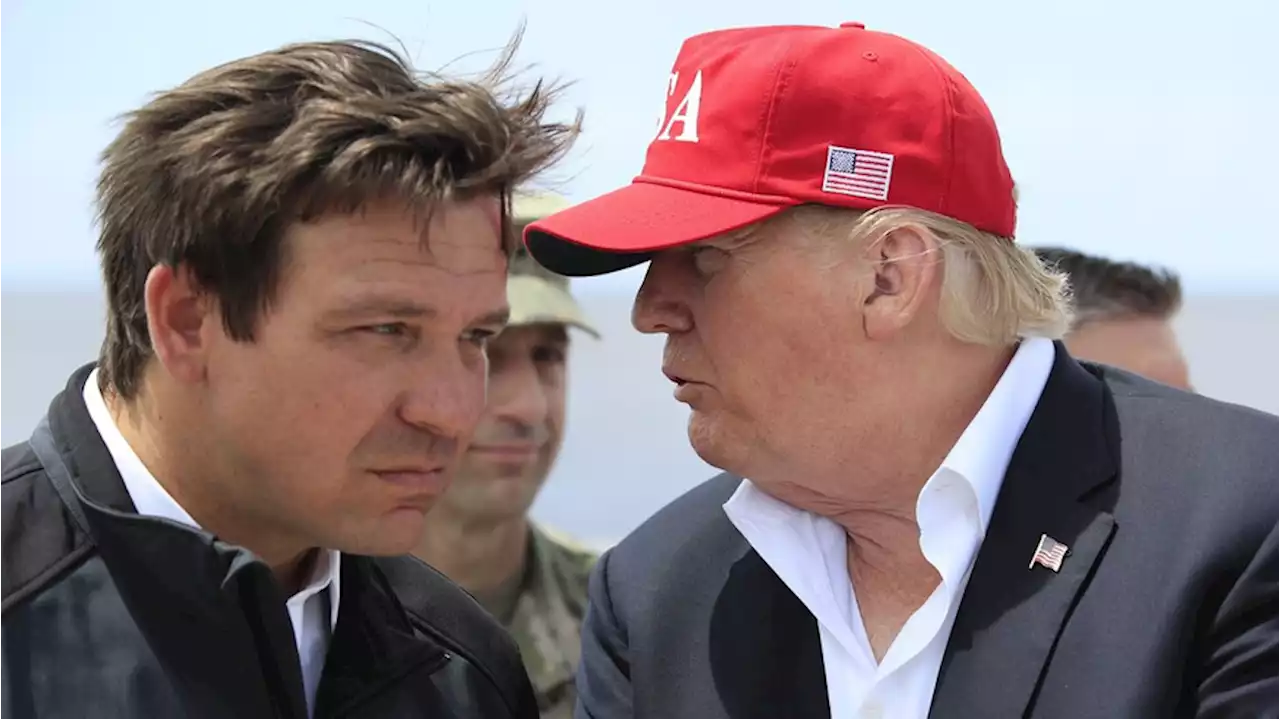 USA: Heute ist Ron DeSantis Trumps Konkurrent – früher sein Fanboy