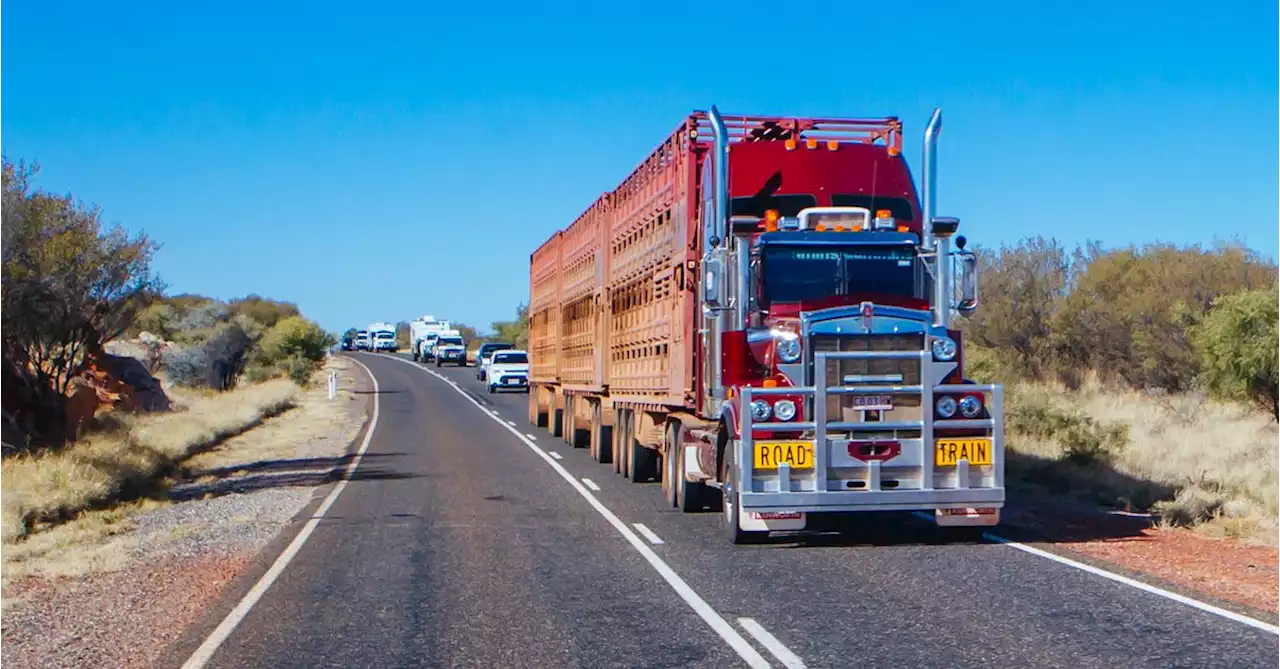 'Absolute crisis' facing vital Australian industry