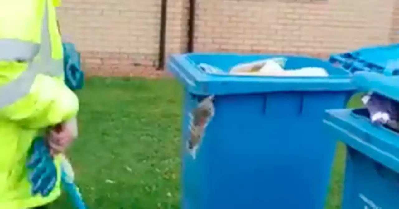 Glasgow binmen jump to avoid rats leaping from bins during collections in city