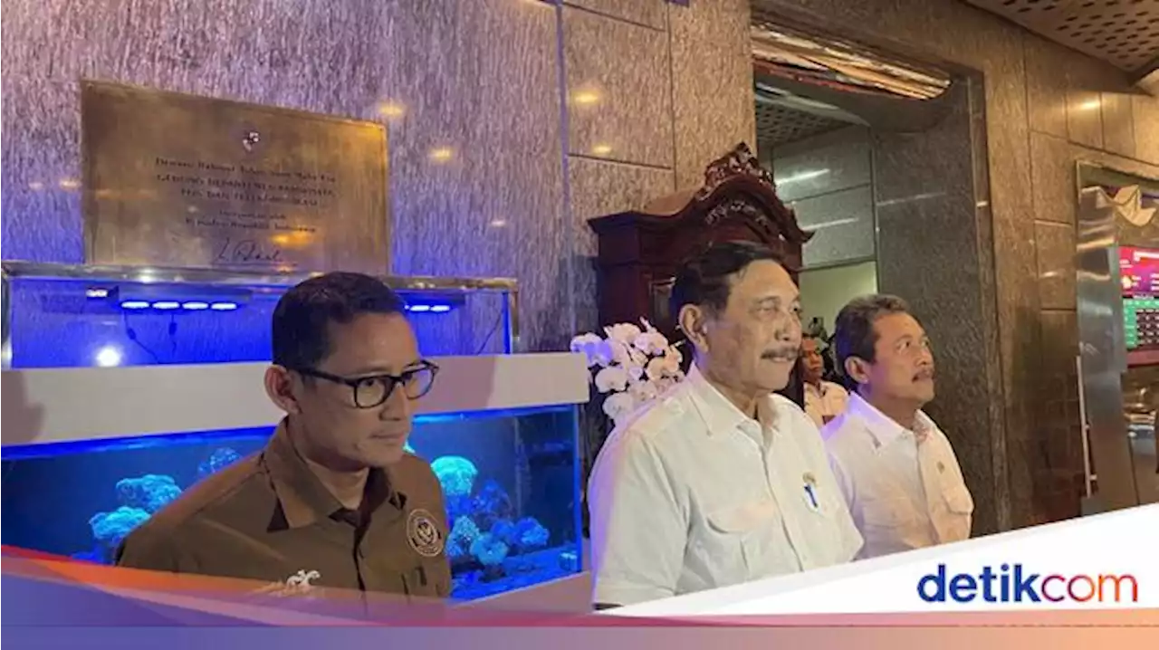 KCI Mau Impor KRL, Luhut Ingin Ada Audit BPKP