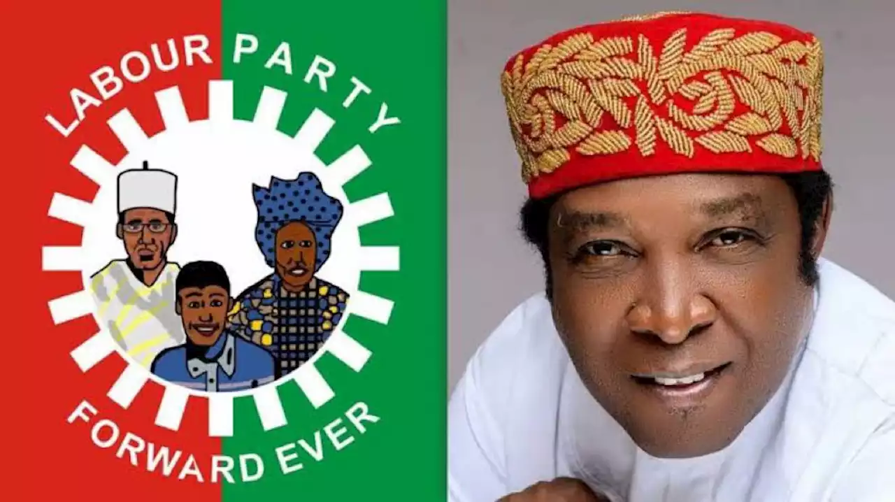 Labour Party Replaces Assassinated Senatorial Candidate In Enugu With Younger Brother | Sahara Reporters