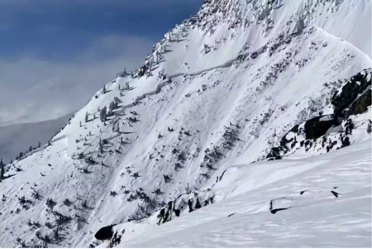 B.C. Interior Avalanche danger remains considerable as February snow further complicates snowpack - Terrace Standard