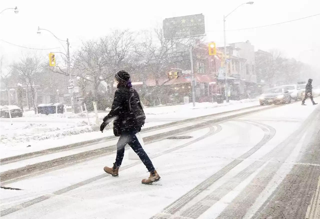 Toronto under winter storm watch with up to 20 cm of snow expected Friday