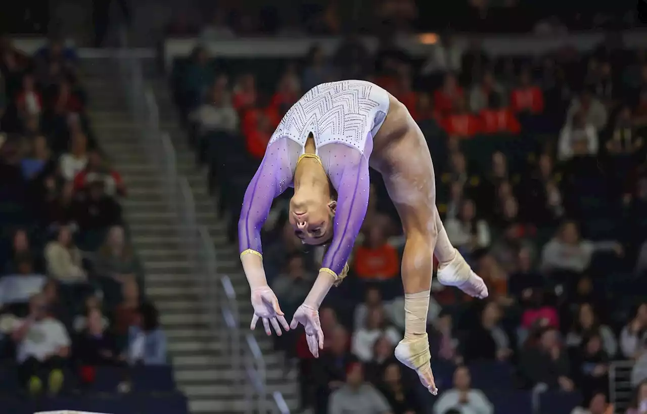 Deux entraîneurs du pôle France de gymnastique jugés pour harcèlement moral