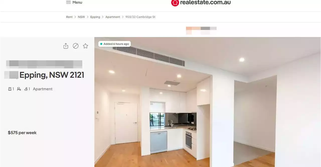 'I couldn't believe it': Sydney renter left stunned by real estate ad