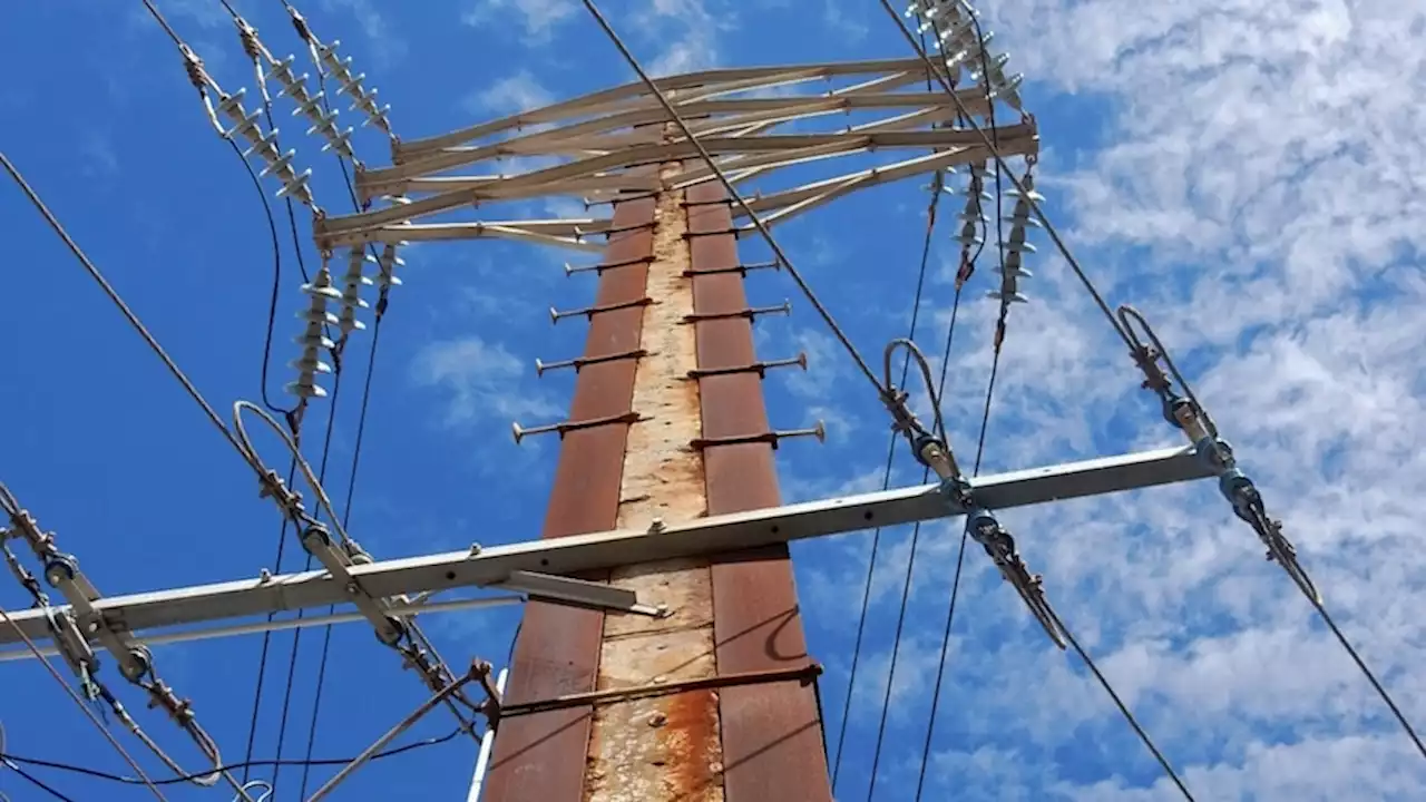 Stobie poles are a South Australian icon, but how did they come about?