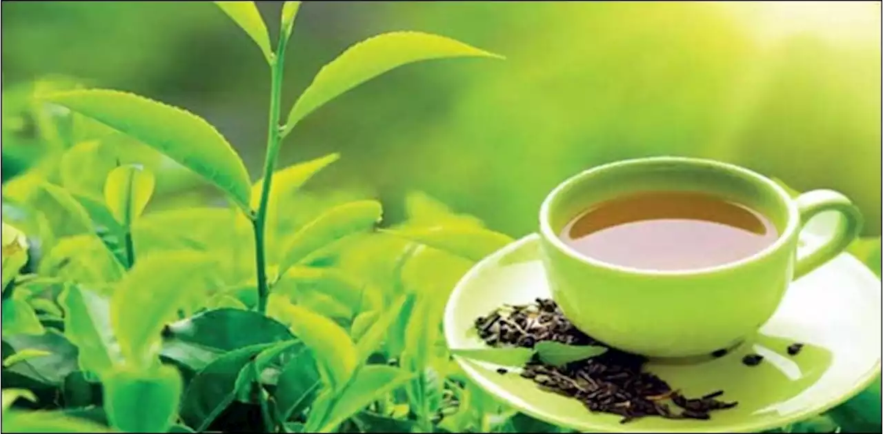 چائے کی درآمد کم ہو گئی