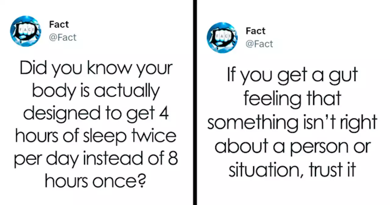 The ‘Fact’ Twitter Page Drops The Most Intriguing And Sometimes Uncomfortable Truths About Life And Here Are 40 Of Them