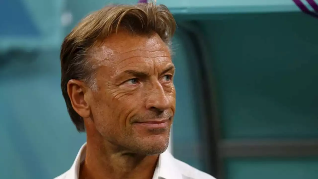 Renard named France women's coach as World Cup looms