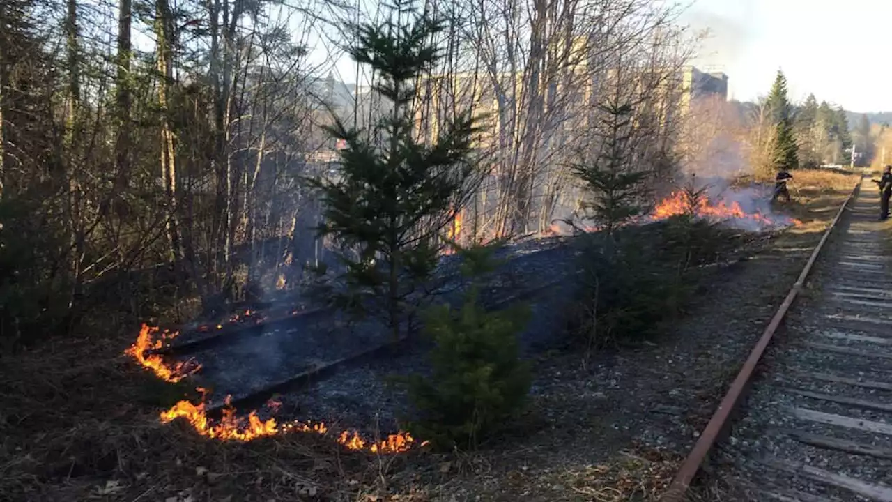 Five fires sparked and extinguished in Port Alberni deemed suspicious