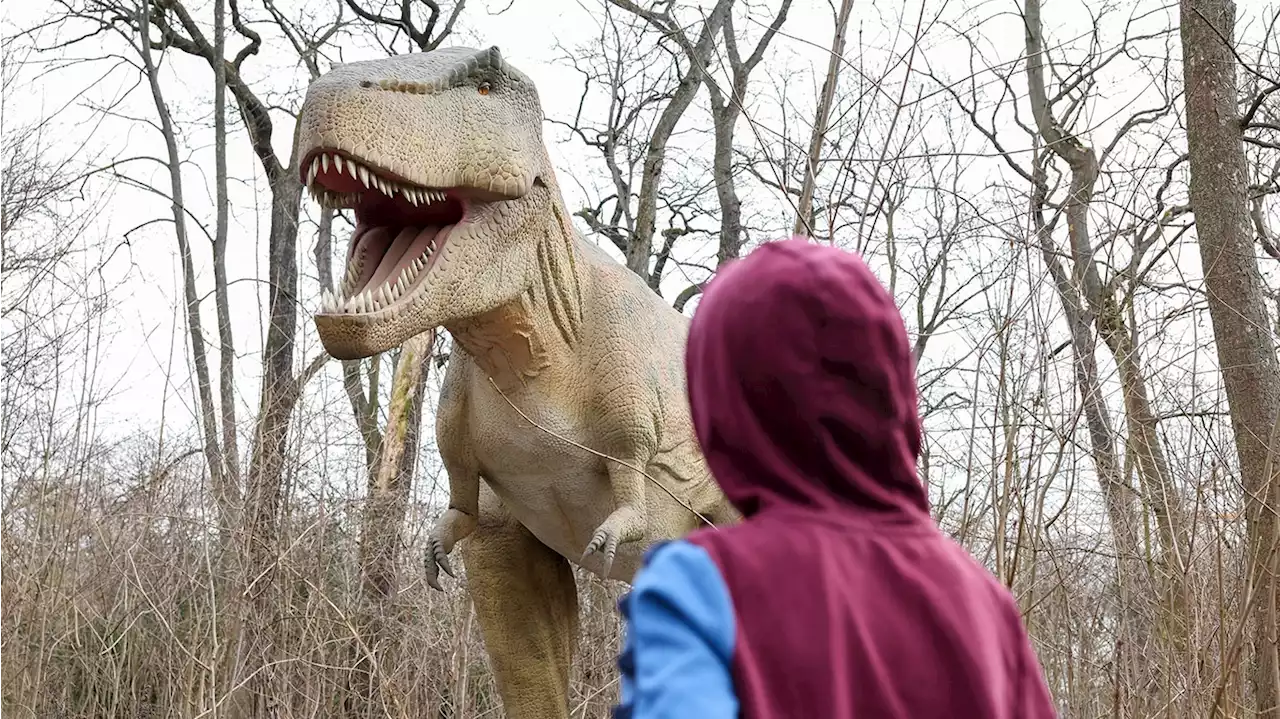 In einem Tierpark vor unserer Zeit