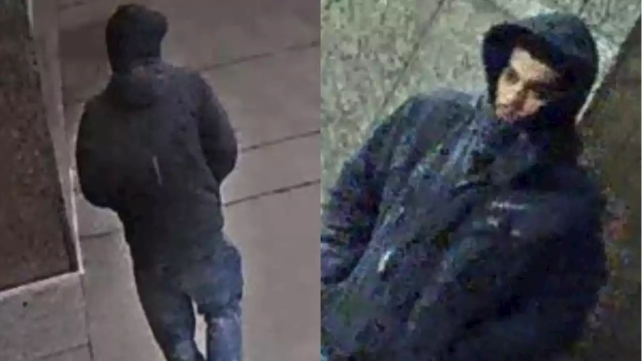 Police release photos of man accused of sexual assault in North York over the weekend