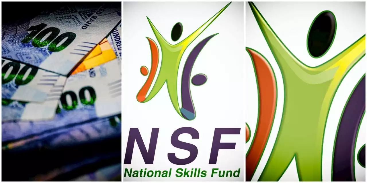 PARLIAMENT: Troubled National Skills Fund draws some high praise in Parliament