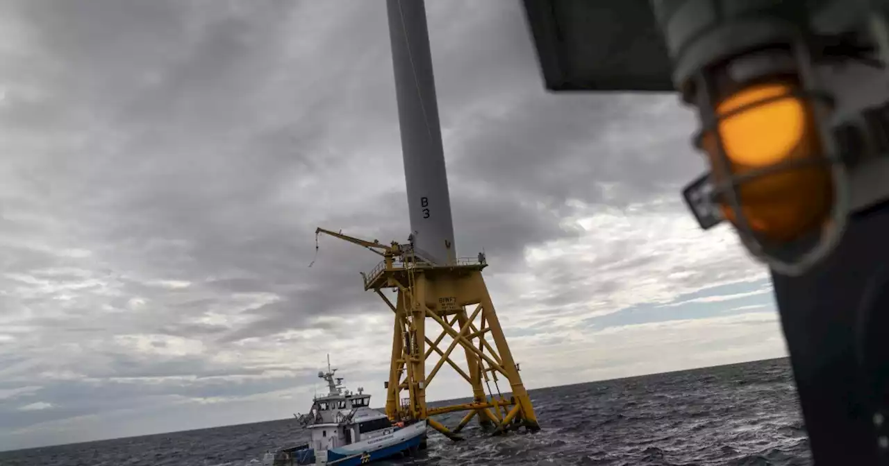 Offshore wind buildout faces bipartisan threat over whale deaths