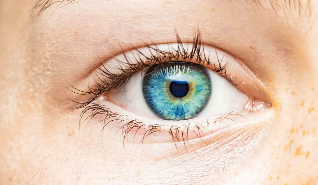 Your Eye Color, Explained