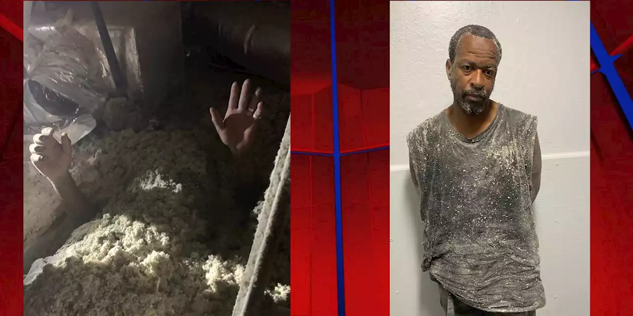 Florida man hides from deputies in attic insulation during robbery