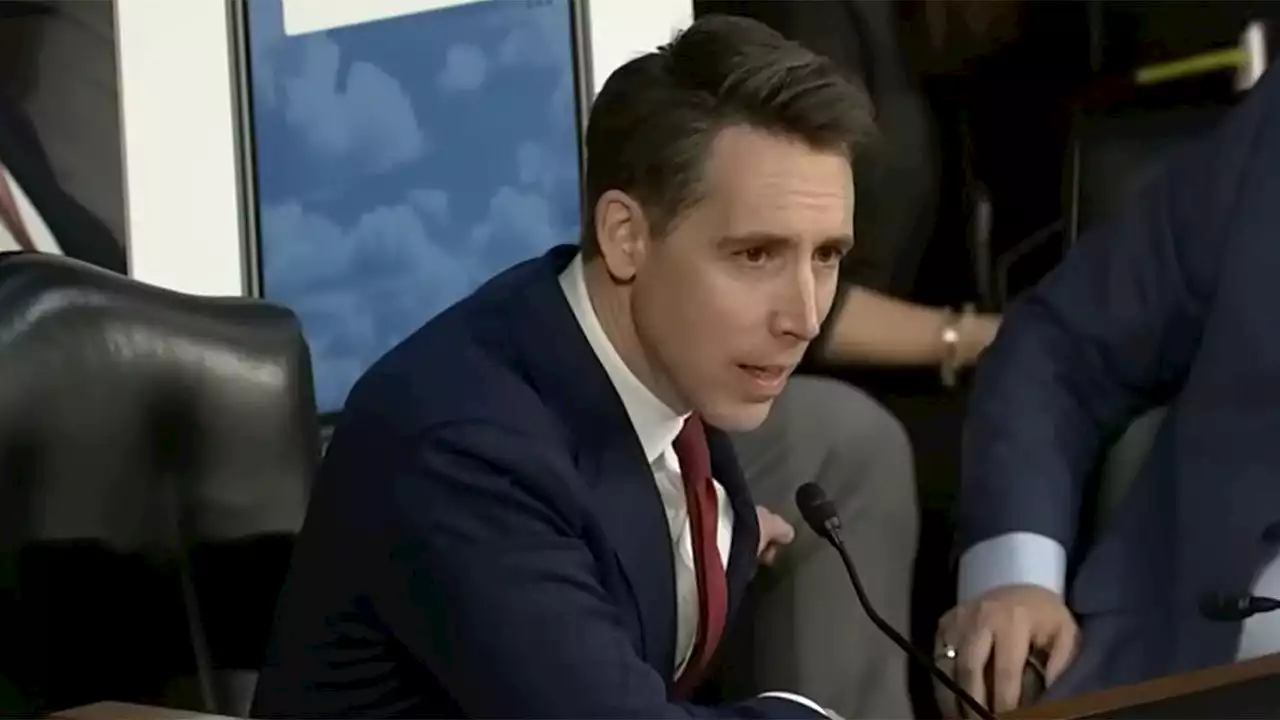 Hawley pushes DHS for answers on migrant app he brands 'concierge service' for illegal immigrants