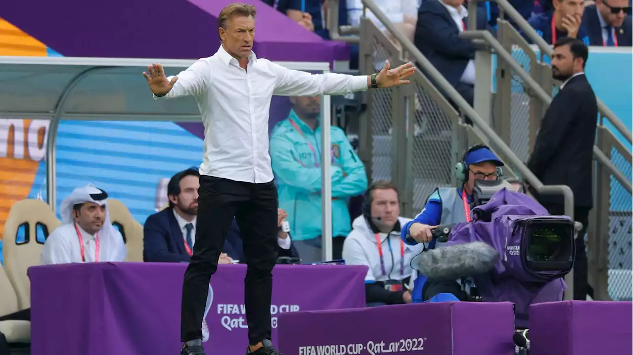 Equipe de France : la carrière d'Hervé Renard, nouveau sélectionneur des Bleues, en quatre matchs marquants