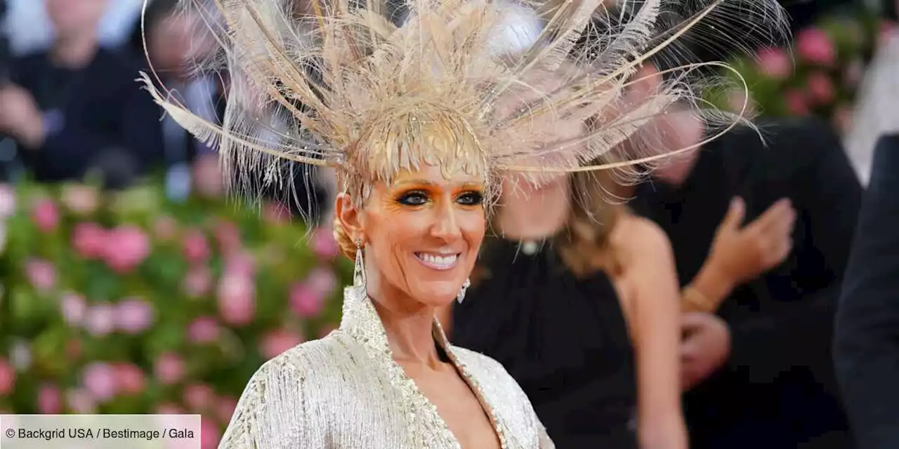 FASHION STORY : la body à franges Oscar de la Renta de Céline Dion au Met Gala 2019 - Gala