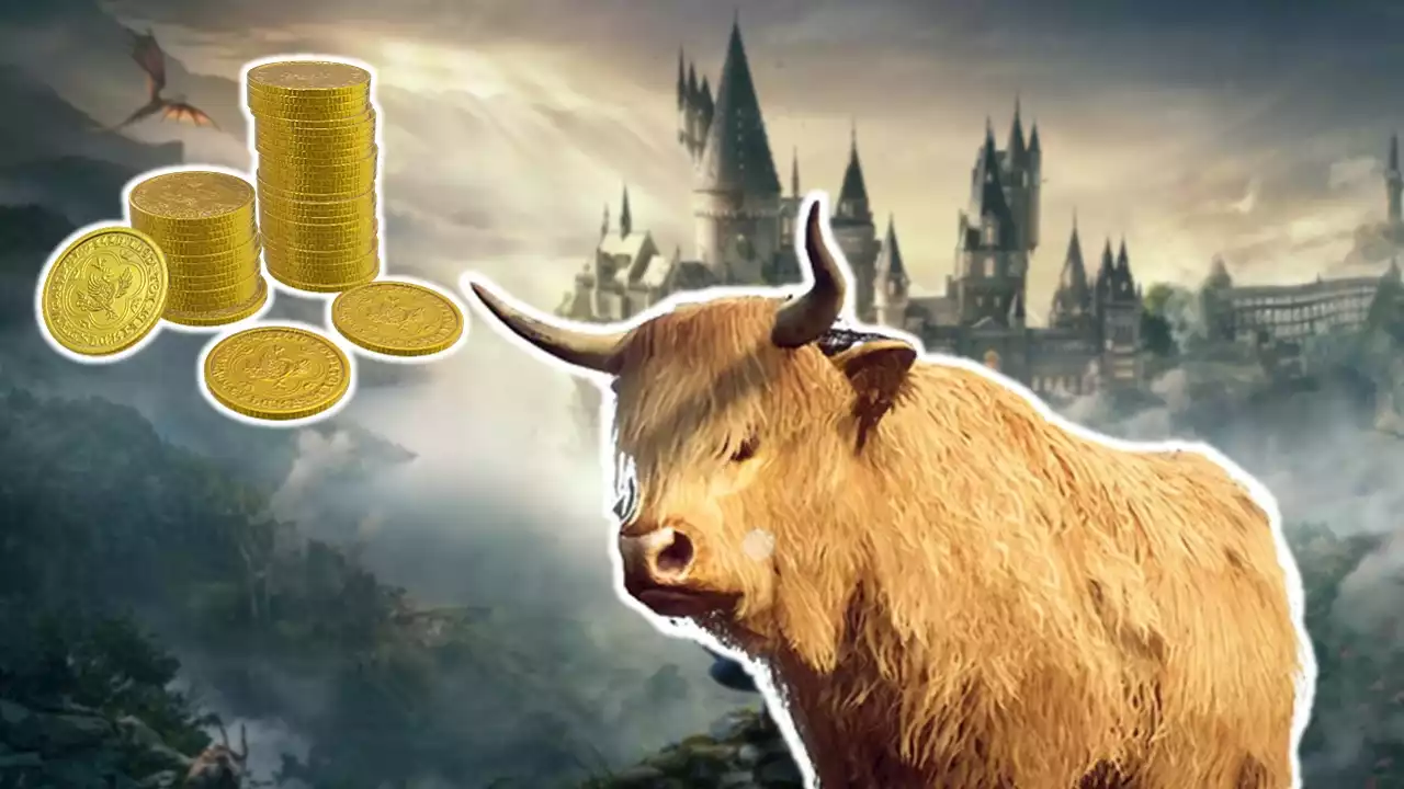 In Hogwarts Legacy werden Tierquäler mit Gold belohnt