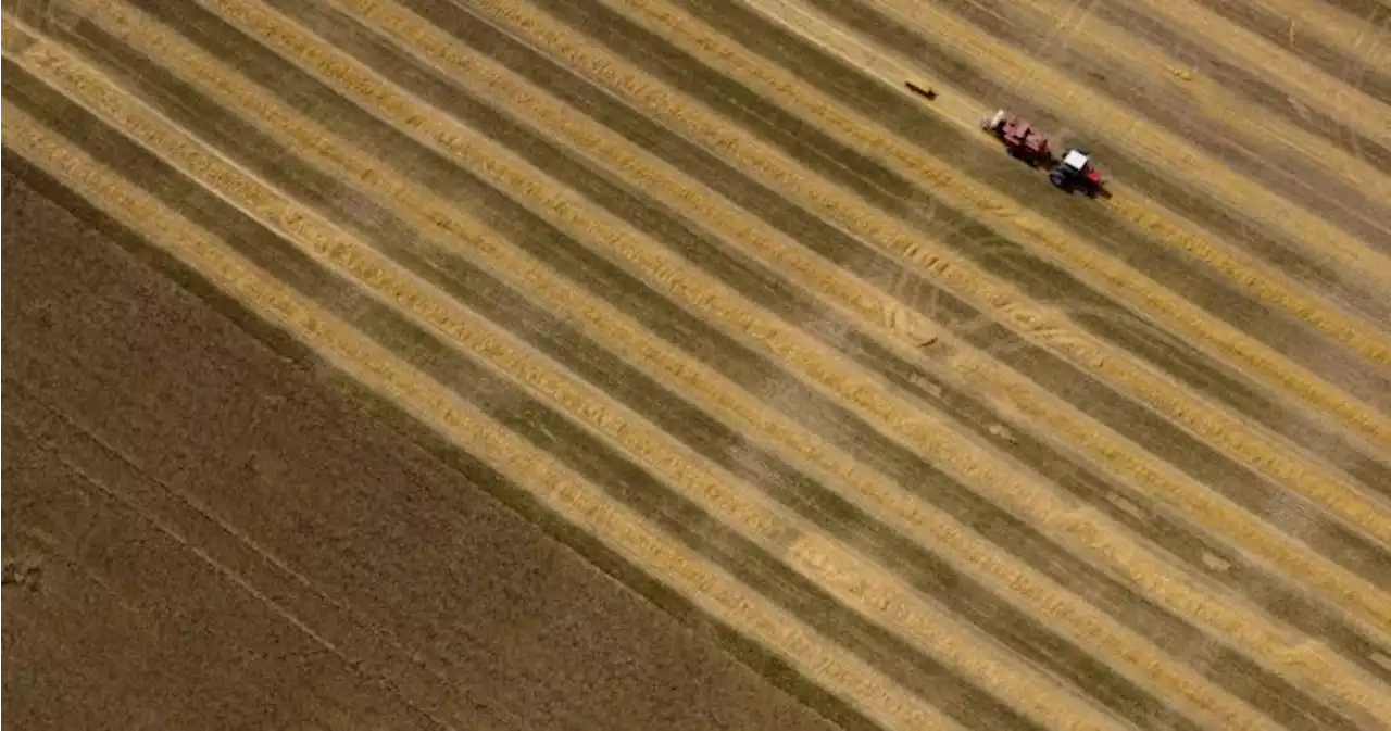 Farmers closer to carbon pricing exemptions after House passes bill - National | Globalnews.ca