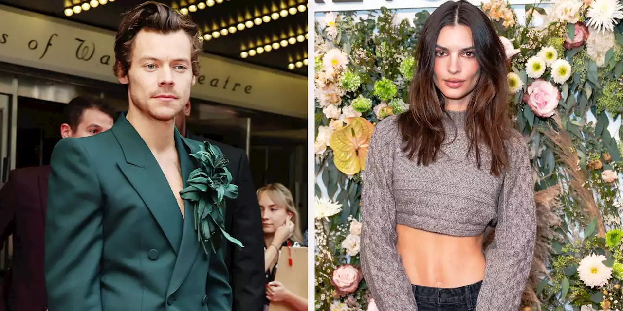 Harry Styles Is Apparently 'Thrilled' About 'Hooking Up' with Emily Ratajkowski