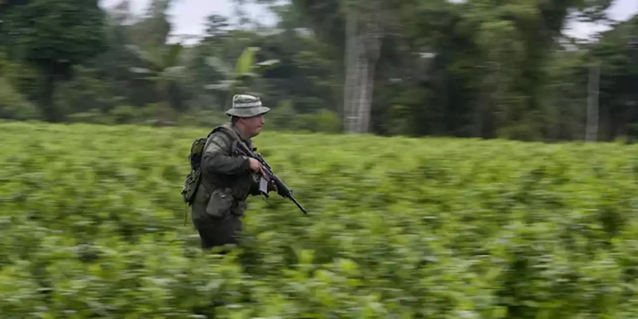 In Colombia 9 soldati sono stati uccisi da un gruppo di guerriglieri - Il Post