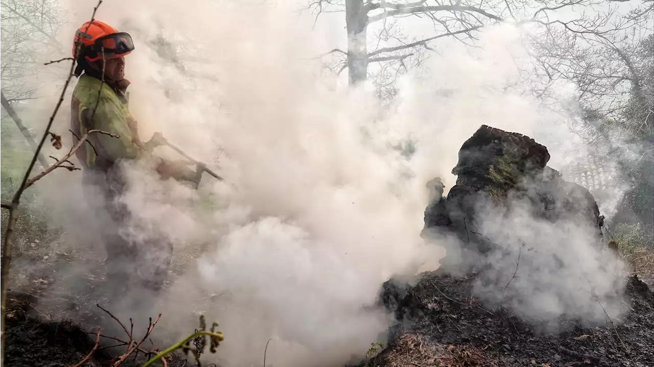 Asturias en llamas: 97 incendios arrasan 35 concejos y obligan a evacuar a los primeros vecinos