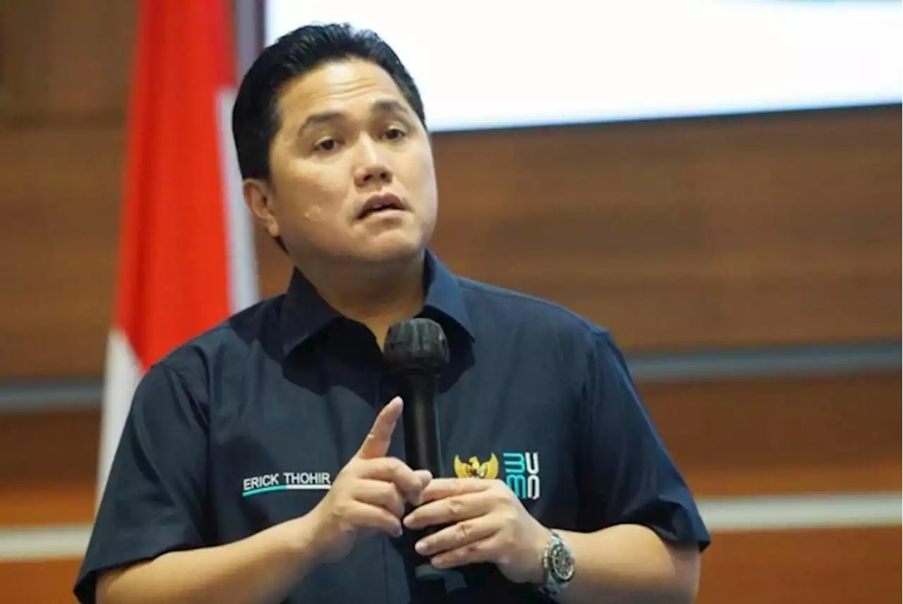 Erick Thohir, ”Saya Sudah Berjuang Maksimal ke FIFA”