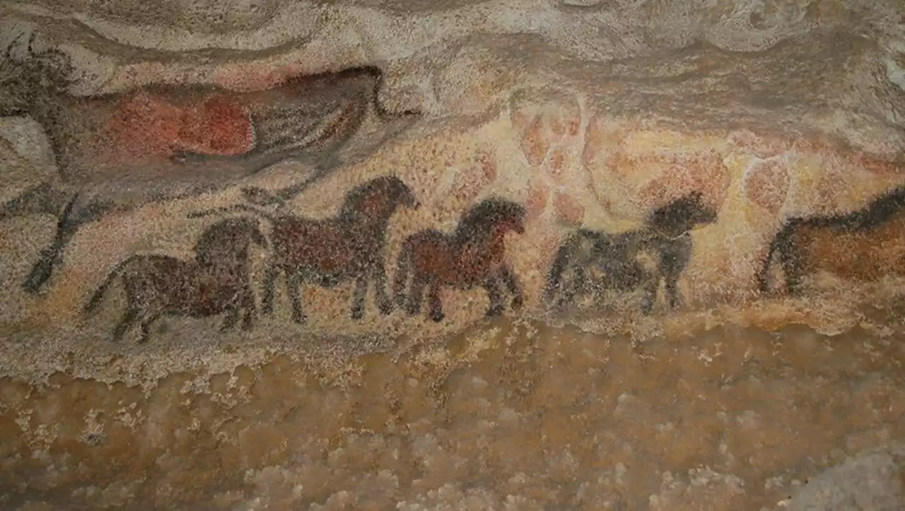 Des chevaux et une vulve : des gravures préhistoriques contemporaines de Lascaux mises au jour en France