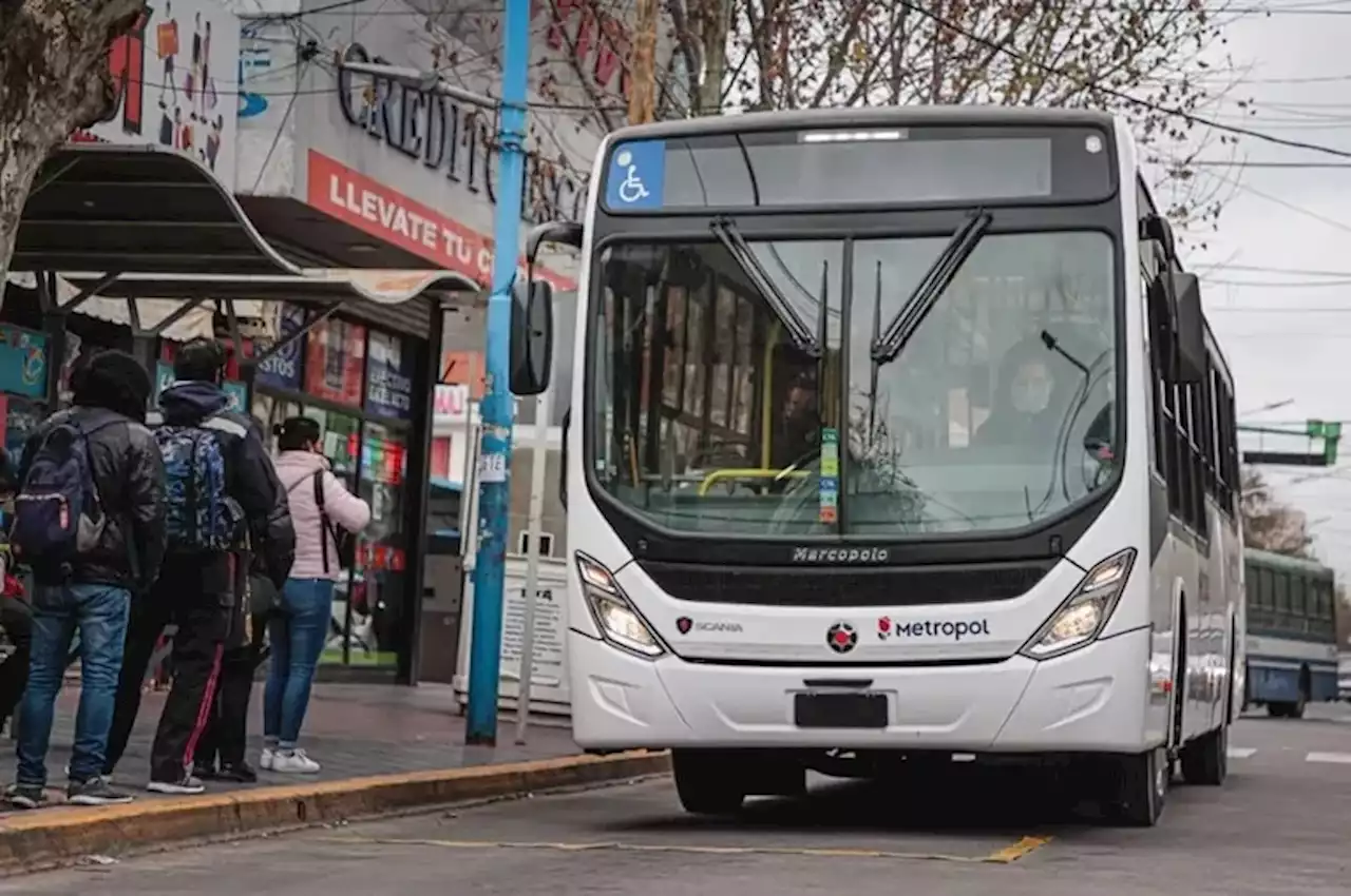 Tres líneas de colectivos suspenden su servicio en el conurbano bonaerense por tiempo indeterminado