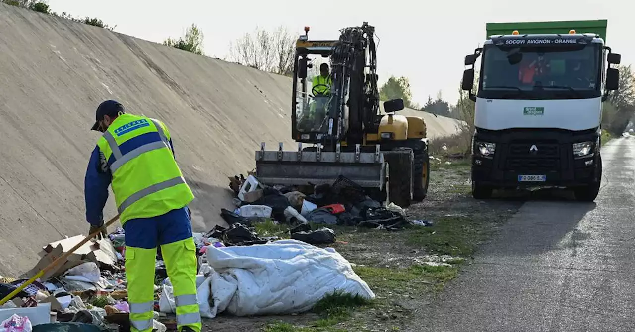 Avignon : 30 m³ des déchets collectés dans la Ceinture verte