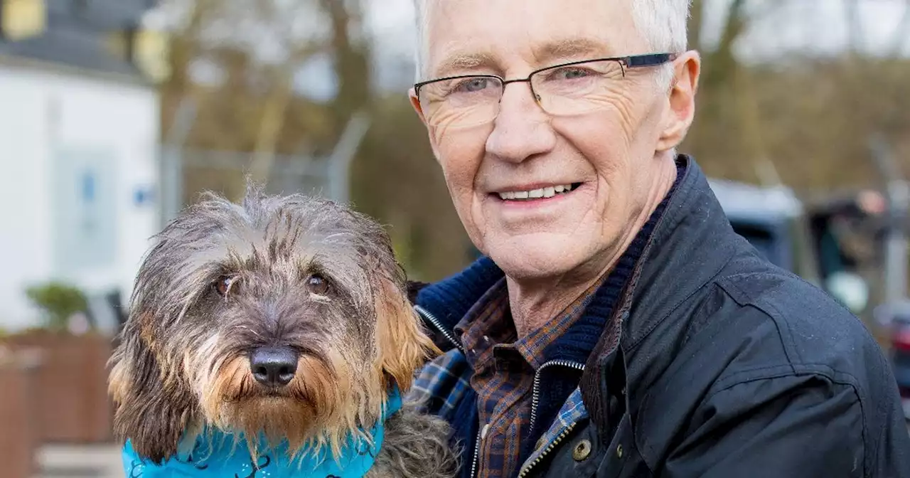 Paul O'Grady took on 'exhausting work load' in year before his tragic death