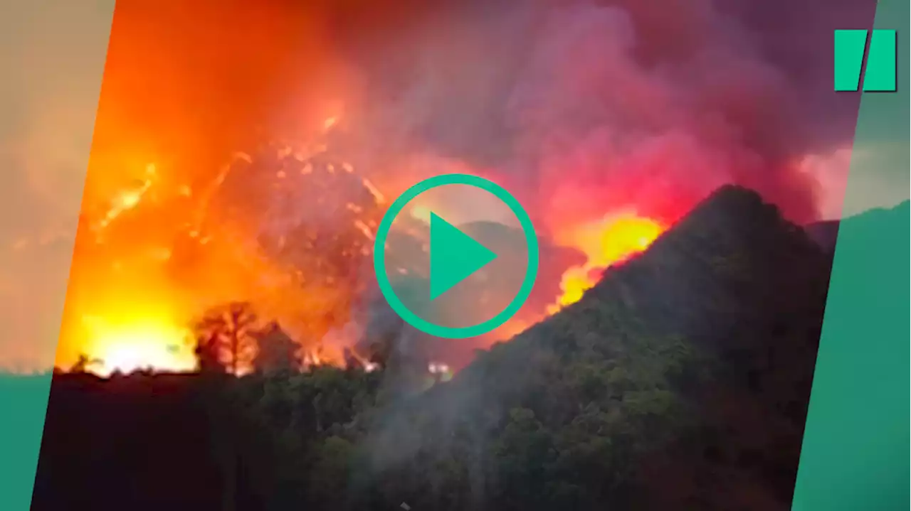 Les images de cette montagne prise dans les flammes en Thaïlande