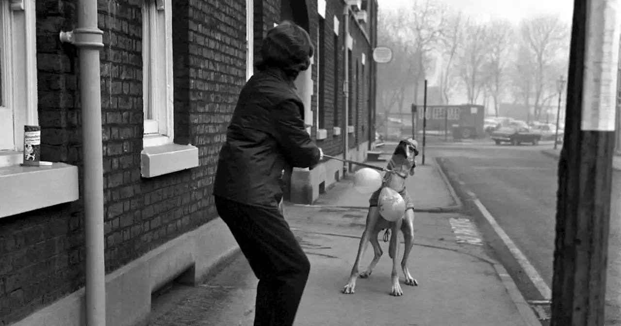 Lost pictures show Bolton's streets and people in years gone by