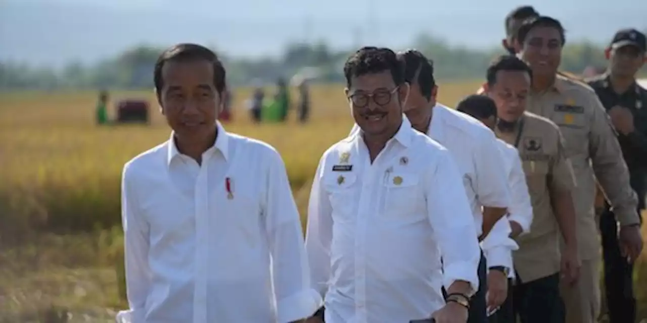 Jokowi Bersyukur Maros Bisa Panen Raya Padi meski Dua Kali Diterjang Banjir | merdeka.com