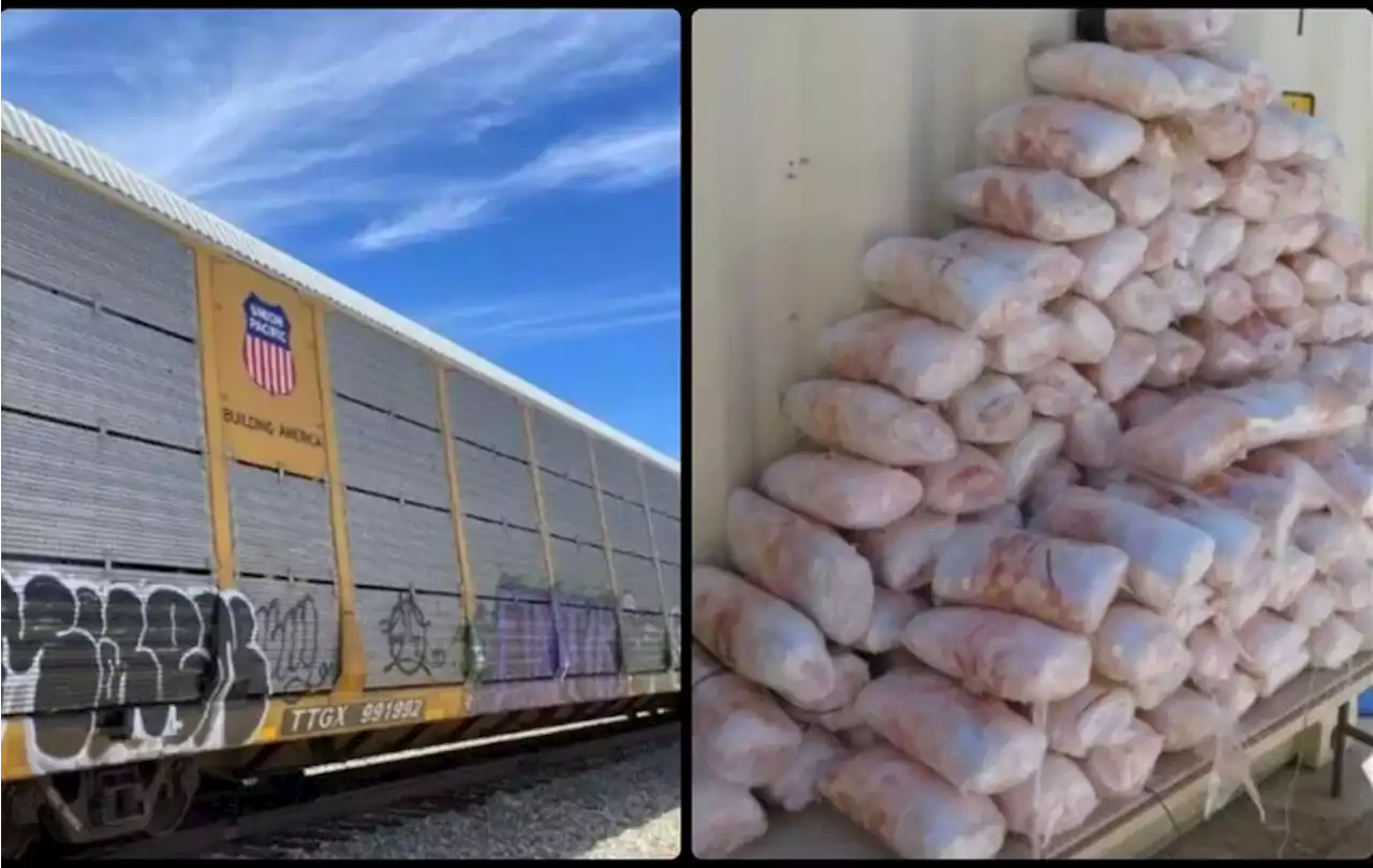 Hallan droga en tren de carga en cruce fronterizo de Sonora y Arizona