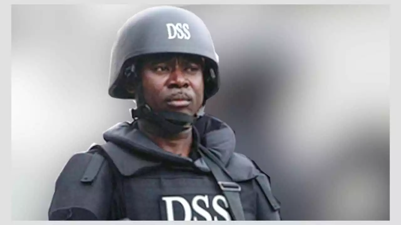 Arrest interim government plotters, APC, PDP tell DSS