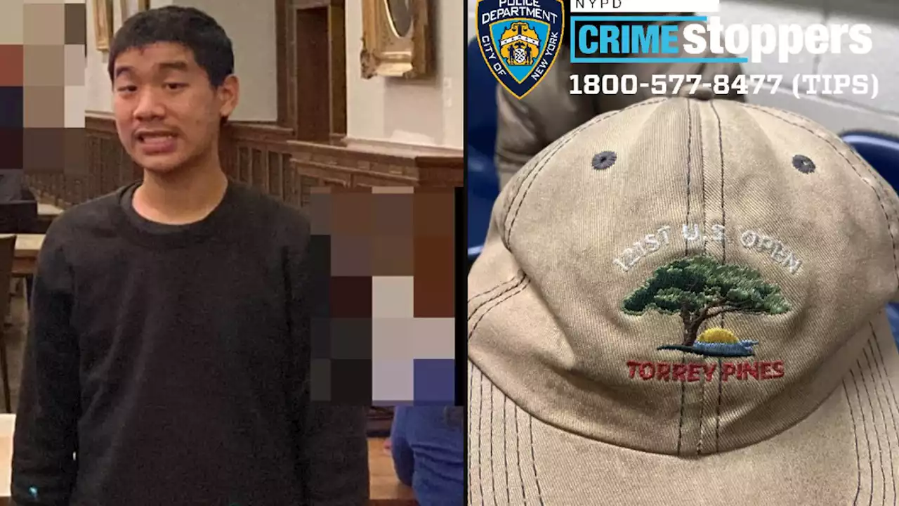 Teen Tourist Reported Missing After Getting Separated From Family at St. Patrick's Cathedral