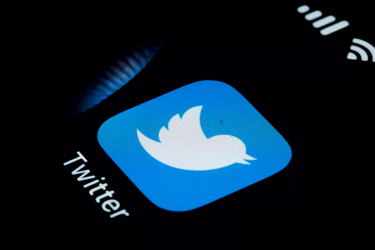 Twitter Removes Thousands of Tweets About Planned ‘Trans Day of Vengeance' Protest