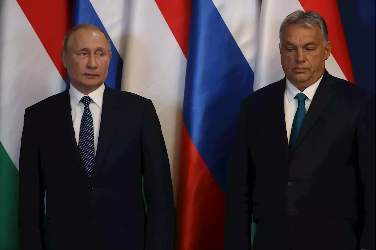 Putin turns on his former ally as he brands Hungary ''unfriendly nation'