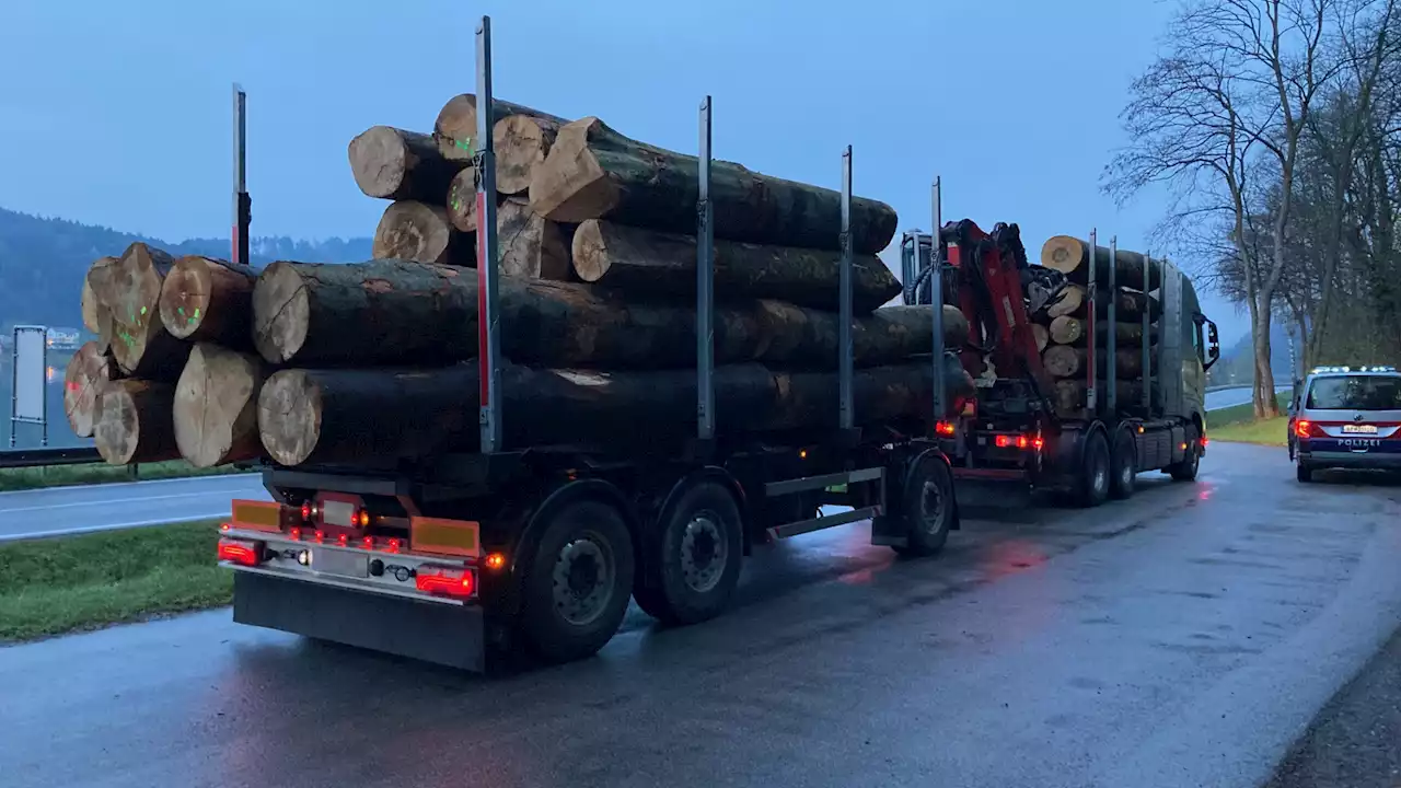 14 Tonnen über Limit: Holztransporter aus dem Verkehr gezogen