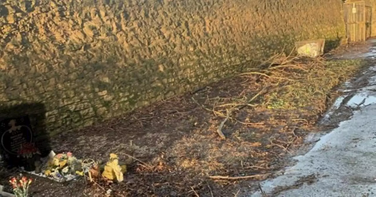 Parents feel they can't visit children at 'disgusting' cemetery